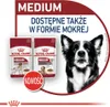 Royal Canin Adult Medium BF 4kg Zbilansowana Sucha Karma Podgląd zdjęcia produktu 18