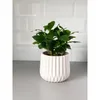 Ceramiczna doniczka falista 13 cm biała Podgląd zdjęcia produktu 4