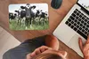 MuchoWow® Mauspad Mousepad Kühe - Gras - Frühling - Tiere - Produktbild-Vorschau 3