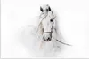 MuchoWow® Poster Pferd - Aquarell - Tiere - Weiß 180x120 cm Produktbild-Vorschau 1