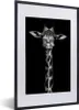 MuchoWow® Gerahmtes Poster Giraffe - Porträt - Tiere - Produktbild-Vorschau 1