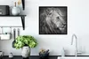 MuchoWow® Gerahmtes Poster Löwe - Tiere - Porträt 40x40 cm Produktbild-Vorschau 3