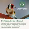 Orni Stieglitz Super 5kg | Schmackhaftes ganzjähriges Produktbild-Vorschau 5