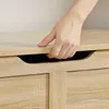 Úložný box LEHAC s víkem 100x46cm, dub sonoma Náhled obrázku produktu 3