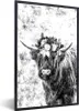 MuchoWow® Gerahmtes Poster Schottischer Highlander mit Produktbild-Vorschau 1