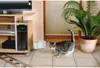 A cat walks past a cable management box next to a TV stand and a potted plant. Anteprima dell’immagine prodotto