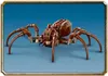 76434 - LEGO Harry Potter - Aragog v Zakázaném lese™ Náhled obrázku produktu 11