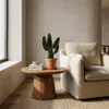 Bloomique - Opuntia Rubescens - Road Kill Cactus - Roślina Podgląd zdjęcia produktu 4