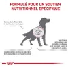 ALIMENTO SEcco PER CANI CON PROBLEMI CARDIOVASCOLARI - Anteprima dell’immagine prodotto 2