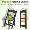 Clevich klapstoelen, tuinstoelen, set van 2, geschikt tot Productafbeelding-voorbeeld 2