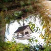 KADAX Vogelhaus zum Aufhängen, Vogelfutterhaus aus Holz, Produktbild-Vorschau 5