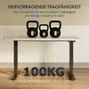 FlexiSpot höhenverstellbarer Schreibtisch elektrisch Produktbild-Vorschau 3