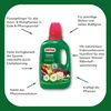 Substral Pflanzen Nahrung, Flüssiger Universaldünger 500ml Produktbild-Vorschau 10