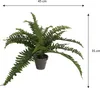 Mica Decorations Kunstliche Pflanze - Farn - grun - im Topf Produktbild-Vorschau 2