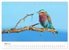 Safari durch Afrika (Tischkalender 2027 DIN A5 quer), Produktbild-Vorschau 6