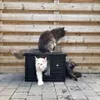 RHRQuality Katzenhaus Villa de Luxe – Für drinnen und Produktbild-Vorschau 2