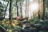 AMAZONAS Mosquito Traveller Thermo hammock Náhľad obrázku produktu 37