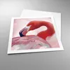 Poster - Poster ohne Rahmen - Flamingo Vogel Porträt - Produktbild-Vorschau 3