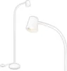 Lampa podłogowa z przełącznikiem nożnym Elastyczna lampa Podgląd zdjęcia produktu 1