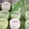 A close-up view of several round keyboard keys with text labels, some in green and some in white, with a green plant sprig resting on them. Náhled obrázku produktu