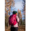 A person wearing a backpack in a forest during autumn. Anteprima dell’immagine prodotto