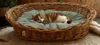 Weidenkorbbett für Hunde, Katzen und andere Tiere, weich, Produktbild-Vorschau 20