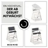 Hauck Beta+ Traditional high chair Padded seat Black Voir les images du produit 4