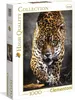 puzzle Walk of the Jaguar 1000 Teile Produktbild-Vorschau 1