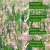 Samenshop24® Esparsette Ambra Onobrychis viciifolia, Produktbild-Vorschau 3