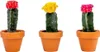 Gardners Gymnocalycium mix, průměr 6 cm Náhled obrázku produktu 1