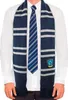 A person wearing a white shirt, a blue and gray striped tie, and a blue and gray striped scarf with the Ravenclaw crest. Anteprima dell’immagine prodotto