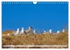 Nordseeinsel Amrum (Wandkalender 2027 DIN A4 quer), Produktbild-Vorschau 15