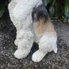 Zahradní figurka Foxteriér Pes figurka sedící 34 cm Náhled obrázku produktu 3
