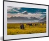 MuchoWow® Gerahmtes Poster Island - Berge - Pferde 60x40 cm Produktbild-Vorschau 1