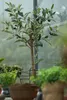Emerald Künstlicher Mini Olivenbaum 65 cm Produktbild-Vorschau 6