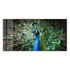 DEQORI Glasbild Echtglas 100x50 cm 'Schönheit des Produktbild-Vorschau 2