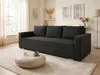Schlafsofa Bird - Sofa mit Schlaffunktion und Bettkasten, Produktbild-Vorschau 1