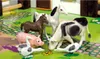 Eichhorn 100004304, 3 rok/roky, Vícebarevný Náhled obrázku produktu 14