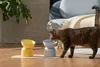 Erhöhter Futternapf für Katzen – Keramik – grün Produktbild-Vorschau 3