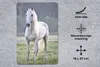 MuchoWow® Mauspad Mousepad Pferd - Licht - Morgen 18x27 cm Produktbild-Vorschau 2