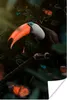 MuchoWow® Poster Tukan - Vogel - Dschungel 20x30 cm - Produktbild-Vorschau 1