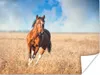 MuchoWow® Poster Pferd - Pflanzen - Sommer 120x90 cm - Produktbild-Vorschau 1