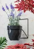 Howhomely porte-plantes support mural noir autour de 22 cm Voir les images du produit 3