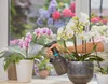 GARDENA Sprühflasche schwarz, grau Produktbild-Vorschau 5