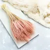 Getrocknete Triticale Pflanzen in Rosa, ca. 60 cm lang, ca. Produktbild-Vorschau 8