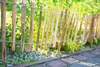 SEVICO 5m Staketenzaun 35cm x 5m mit Lattenabstand 7-8cm Produktbild-Vorschau 13