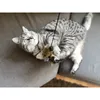 Aumüller Katzenspielangel WOOZLE - mit Katzenminze Produktbild-Vorschau 3