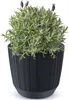 Květináč 16,8cm RYFO DRF170-S433 antracit plastový Náhled obrázku produktu 9