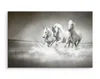 Obraz na korytarz czarno białe konie galop Dekoracja z Podgląd zdjęcia produktu 3