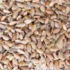 Kamelur BIO Leinsamen braun 1kg Produktbild-Vorschau 4